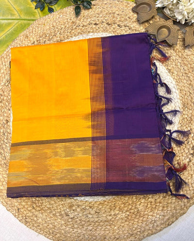 Pure silk cotton with pochampally border with contrst blouse001