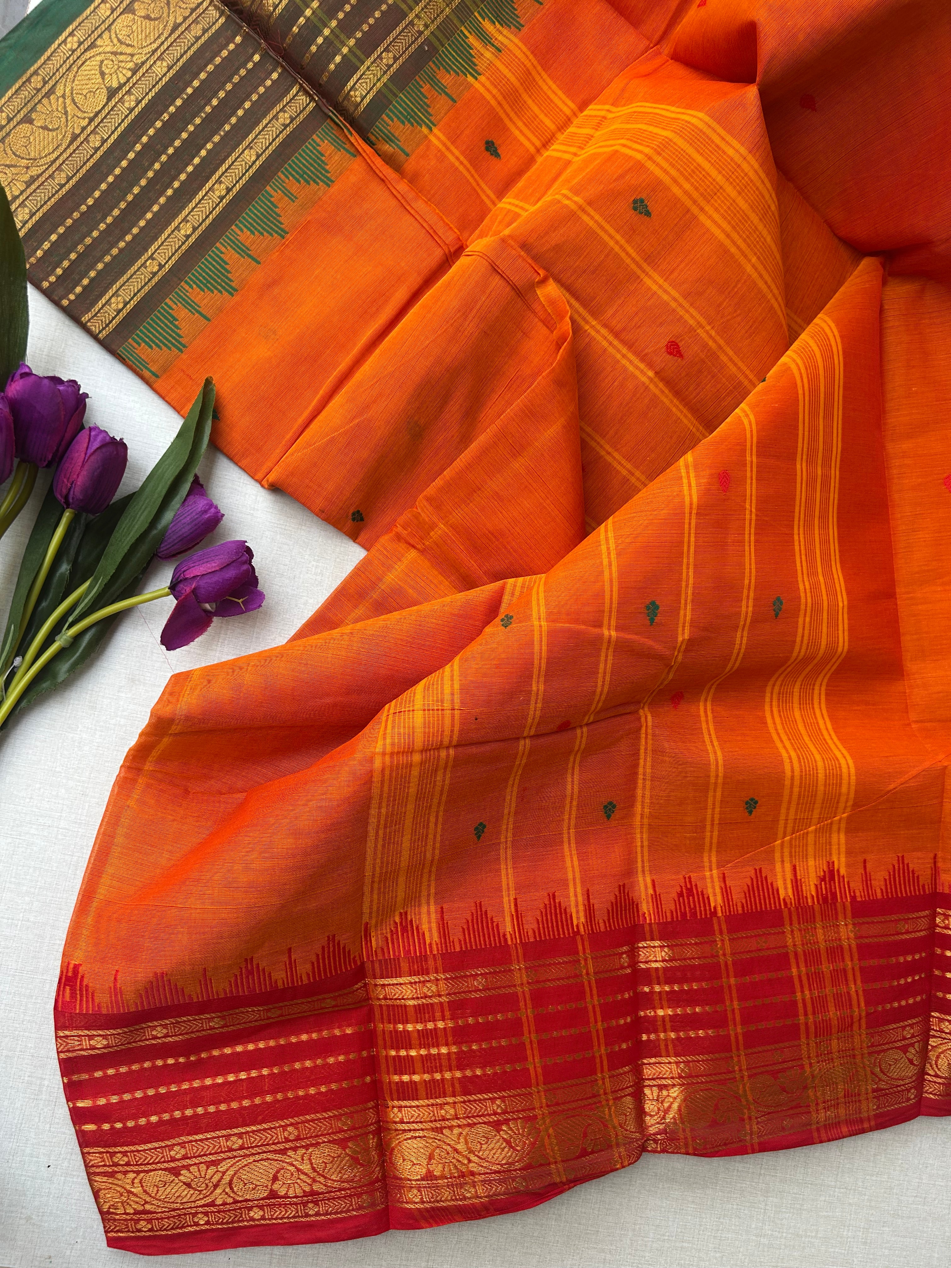 Pure Kanchi Cotton Saree with Plain Putta Work & Ganga Jamuna Border — 100% Pure Cotton