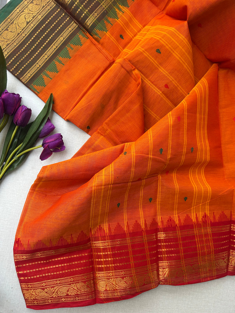Pure Kanchi Cotton Saree with Plain Putta Work & Ganga Jamuna Border — 100% Pure Cotton