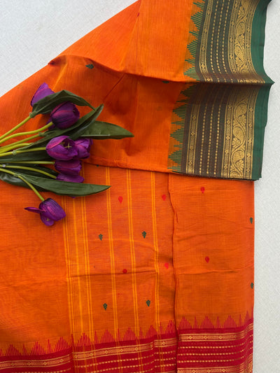 Pure Kanchi Cotton Saree with Plain Putta Work & Ganga Jamuna Border — 100% Pure Cotton