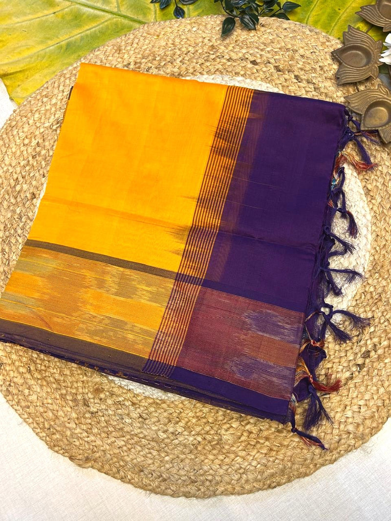 Pure silk cotton with pochampally border with contrst blouse001