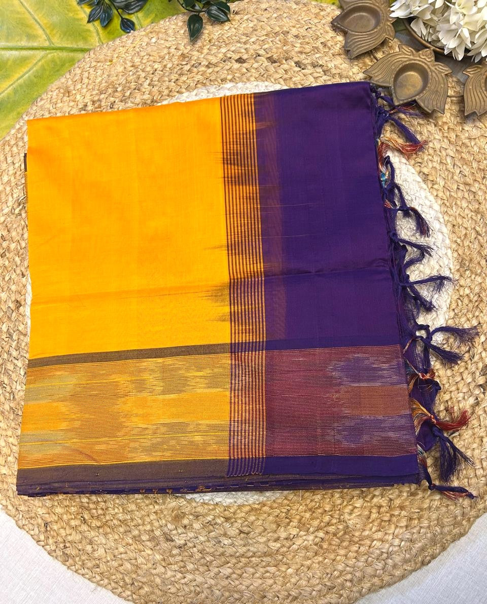 Pure silk cotton with pochampally border with contrst blouse001