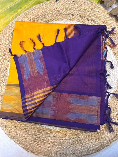 Pure silk cotton with pochampally border with contrast blouse001|Krisa Collections
