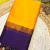 Pure silk cotton with pochampally border with contrst blouse001