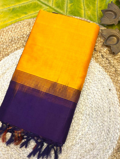 Pure silk cotton with pochampally border with contrst blouse001