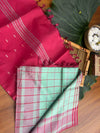 Vazhaipattu pastel green checked silk saree -with blouse